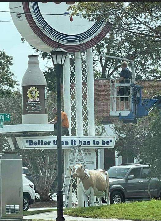 Charleston's coburg cow. The cow has been taken down. The removal of the cow from the sign is a omen for the village to buy many milks and several breads